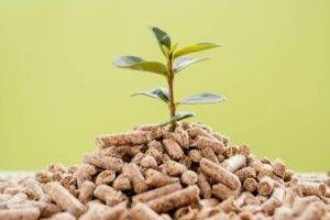 Biomasse: analisi vantaggi e svantaggi